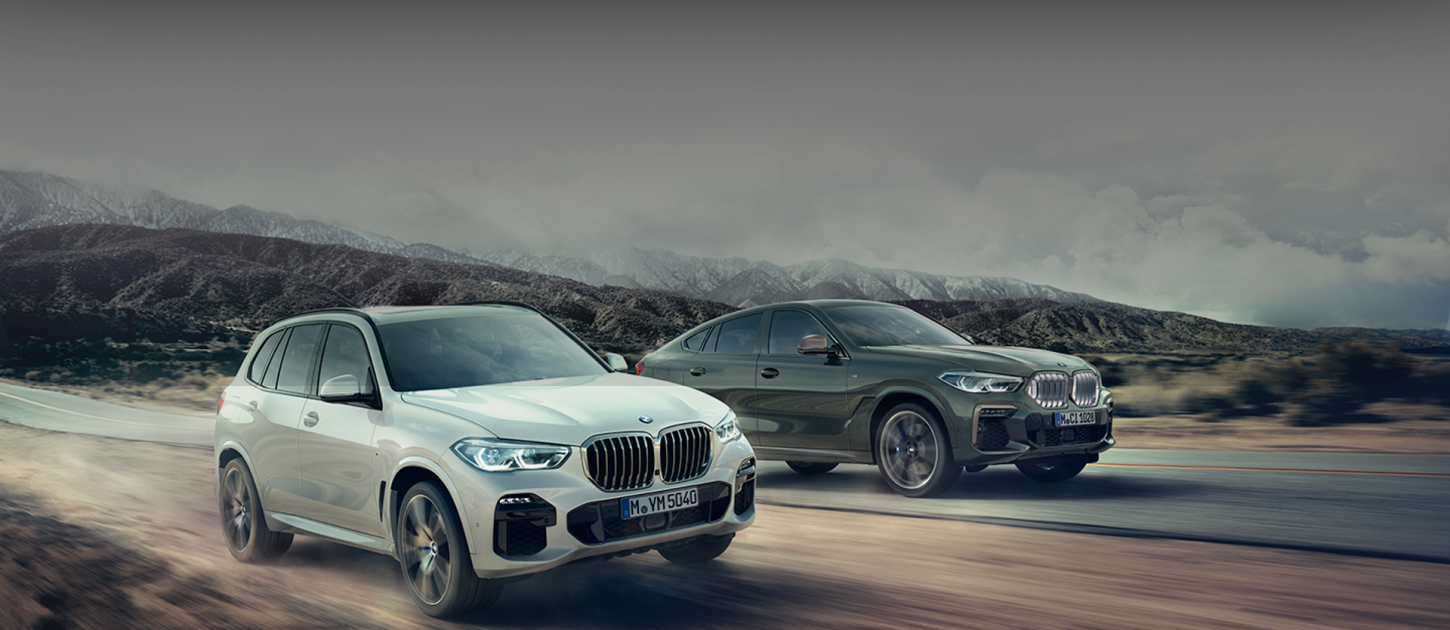 Descubre el BMW perfecto para ti.