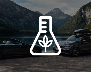 Planta de biomasa en India