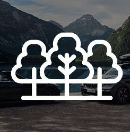 Recorre el camino hacia el futuro junto a BMW