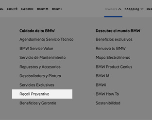 1. CONSULTA EN RECALL PREVENTIVO